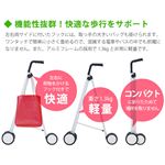 AI-WALK アイウォーク シルバー ロータイプ TW-200