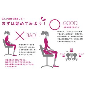 hihip ハイヒップ 美姿勢サブチェア 骨盤On the Chair HHI-EV-R／O001 レッド／オレンジ