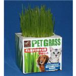 犬と猫が好きな草　栽培セット