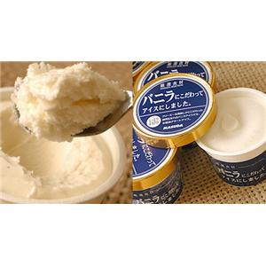 バニラにこだわってアイスにしました。6個セット