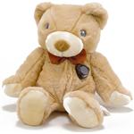 Teddycam 赤外線暗視高感度集音機能付カメラ Teddycam カメラ単品