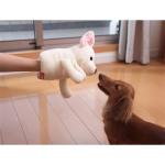 アニマルミトン・ラブドッグ チワワ