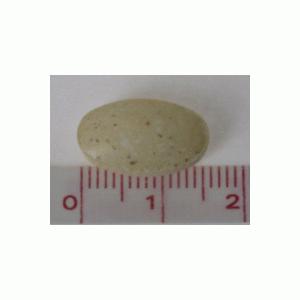 ネイチャーメイド マルチビタミン&ミネラル 100粒