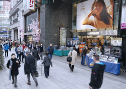 公示地価としての過去最高を更新した山野楽器銀座本店前（東京・中央）