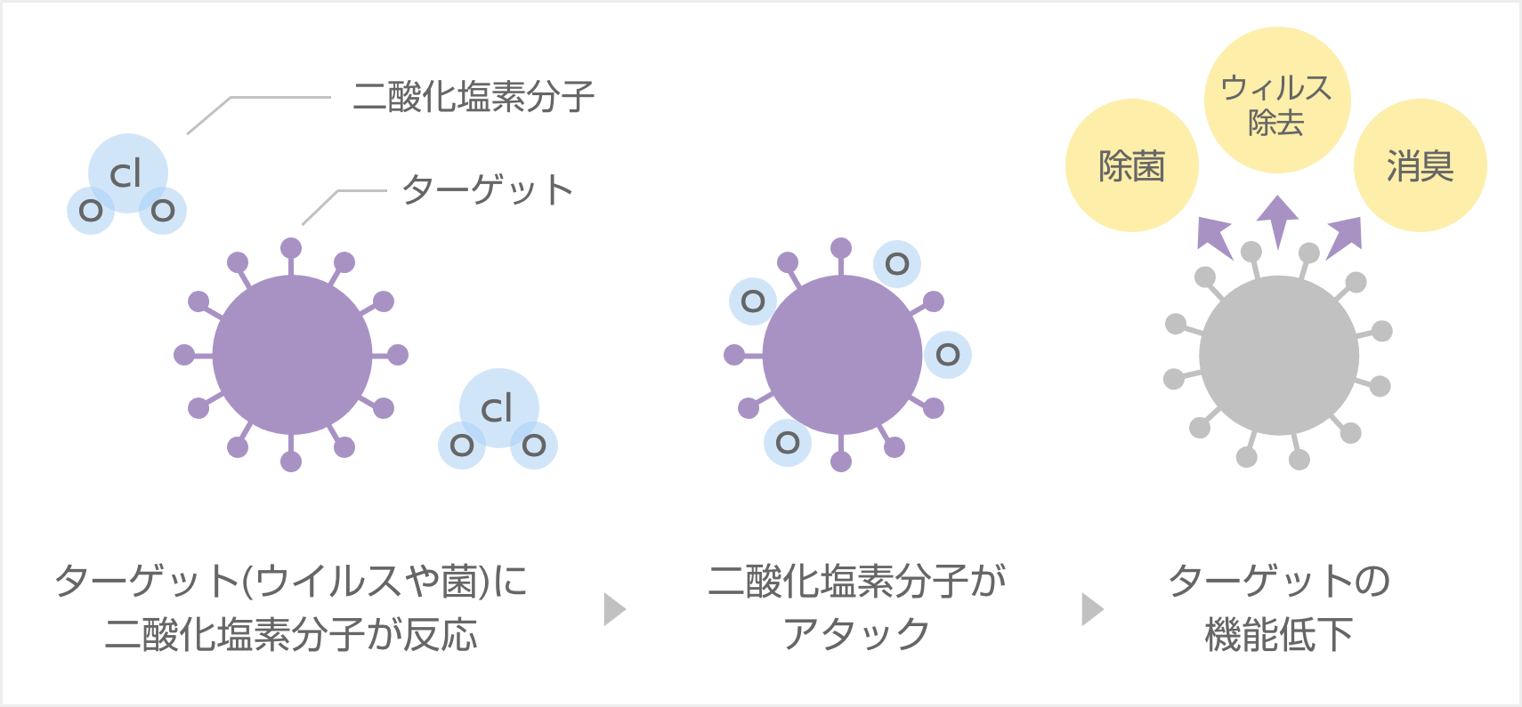 ウイルスや菌の機能を低下させる！