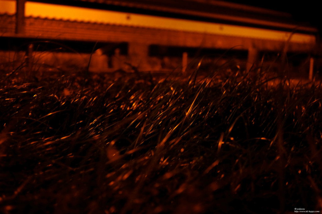 呉服町の風邪に流されて