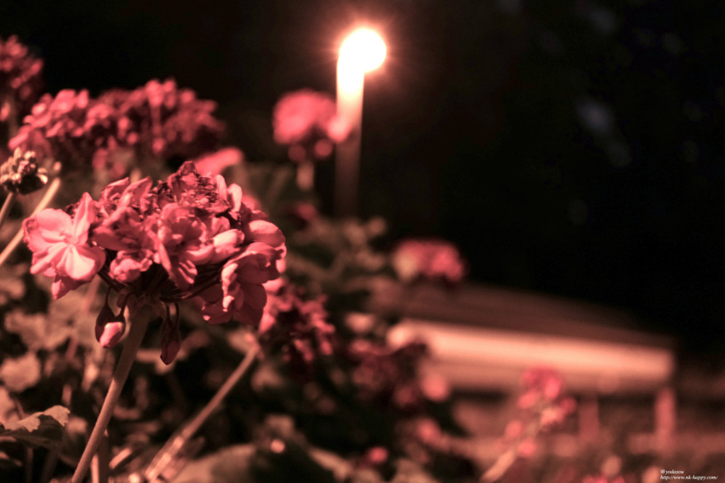 呉服町花と街灯