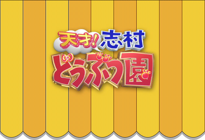 天才 志村どうぶつ園 飼い主の入れ歯ハメて放さない犬vs動物と話せる女性ハイジ As You Know