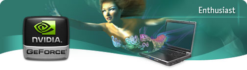 nVIDIA GeForce Go 6100 driver for XP?.