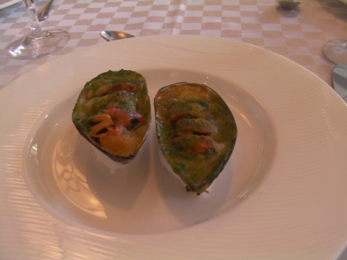 パナ貝の前采-ニチエイ専門学校