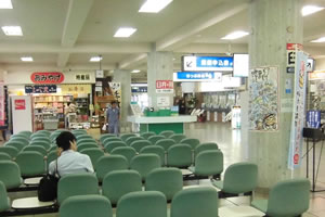 野宿・八幡浜港・フェリー乗り場
