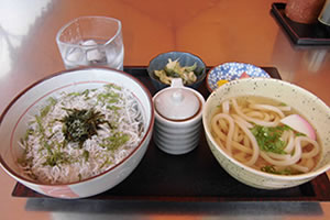 四国・しらす丼