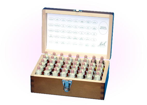 フルセット40inBOX(フルセット40+木製携帯BOX) フルセット40 in Box