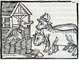 Pet adoption: Want a dog or cat? Adopt a.