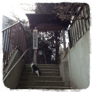 馬頭観音堂(大黒天) 馬頭観音堂(大黒天)