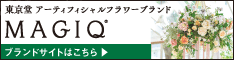 サロネーゼ倶楽部へ