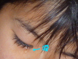 西伊豆 我が家のサッカー少年