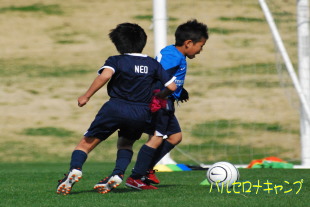 バルセロナキャンプ葛飾2013 バルセロナキャンプ葛飾2013