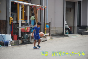 伊豆ジュニアサッカー海斗 伊豆ジュニアサッカー海斗