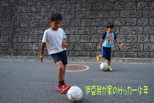静岡県伊豆ジュニアサッカー