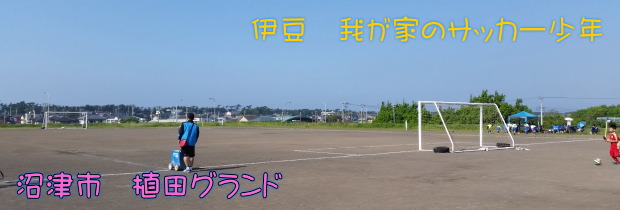 沼津市主催のスポーツ際 沼津市主催のスポーツ際