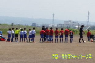 沼津市主催のスポーツ際 沼津市主催のスポーツ際