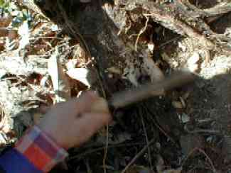 haruka02616.jpg (10244 ãã¤ã)