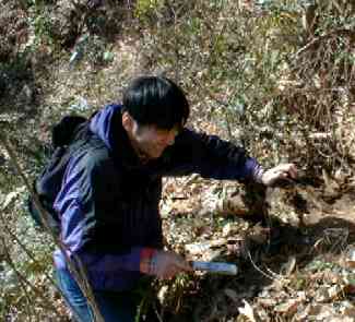 haruka02617.jpg (15747 ãã¤ã)