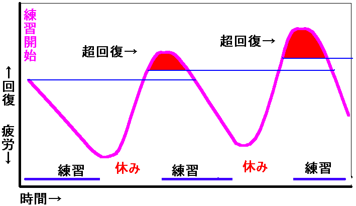 超回復　グラフ に対する画像結果