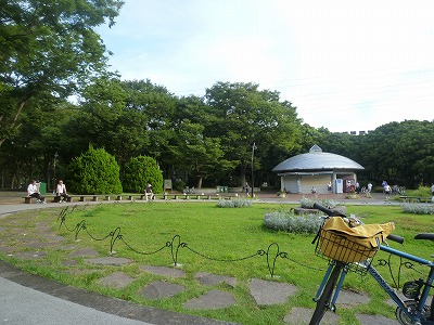 静かで爽やか。ビールと会話が進みます