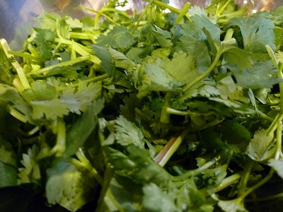 パクチーは新鮮そのもの！