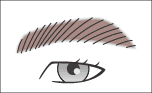 眉イラスト