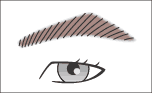 眉イラスト