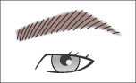 眉イラスト