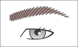 眉イラスト