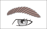 眉イラスト
