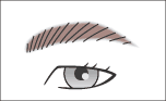 眉イラスト