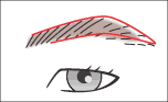 眉イラスト
