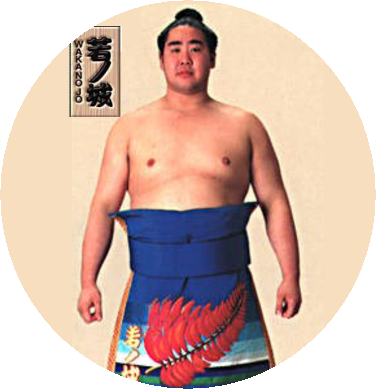 お相撲さんプロモーションズ キャスト紹介 スモプロ お相撲さんプロモーションズ