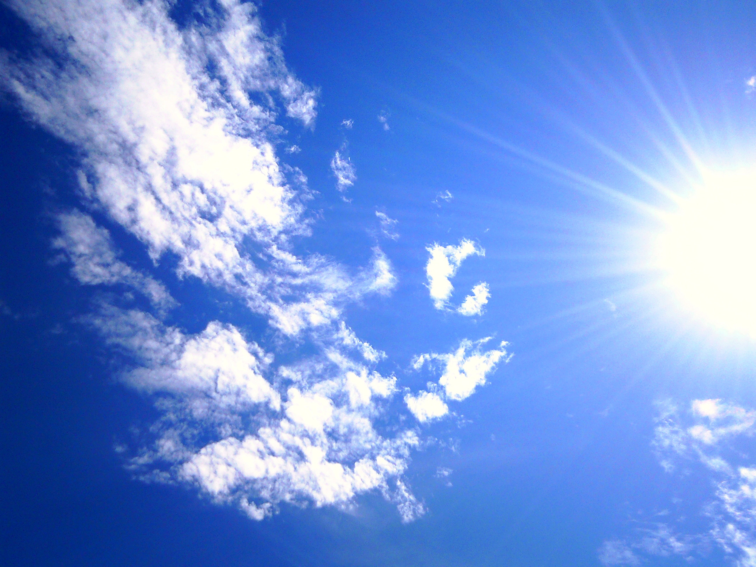 クリックすると新しいウィンドウで開きます