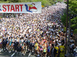 クリックすると新しいウィンドウで開きます