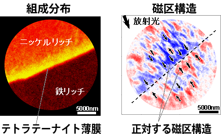 図3 界面近傍の磁区構造と組成分布