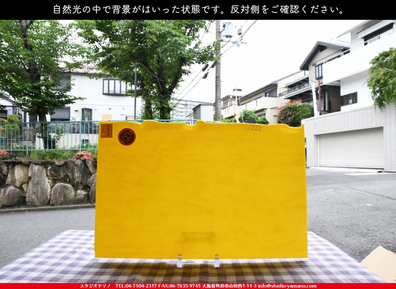 ブルザイ_BU-0220-0030_719202100037_縦：28cm×横：44cmの写真