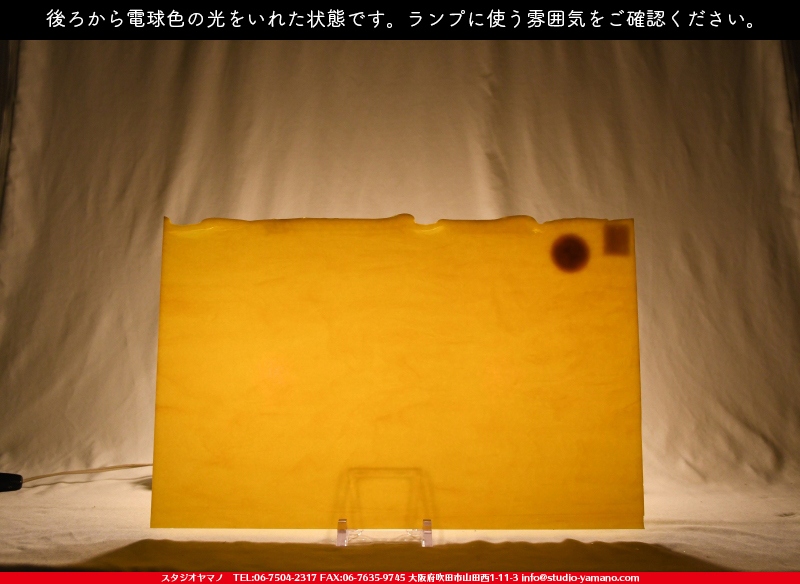 ブルザイ_BU-0220-0030_719202100037_縦：28cm×横：44cmの写真