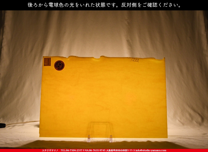 ブルザイ_BU-0220-0030_719202100037_縦：28cm×横：44cmの写真