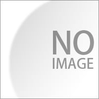 平野綾写真集 Aya FILE.1 +DVD