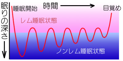 http://www.synapse.ne.jp/makuben/suimin002.jpg