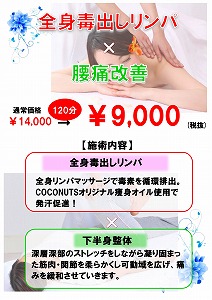毒出しリンパ+腰痛改善R2.6.3作成.jpg