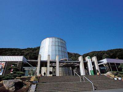 クリックすると新しいウィンドウで開きます