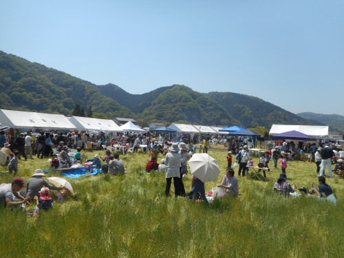 れんげ祭り